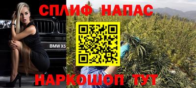 сатива Ковров
