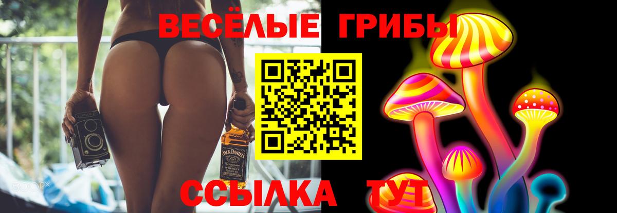 Екатеринбург  Псилоцибиновые грибы GOLDEN TEACHER  Вход с VPN 